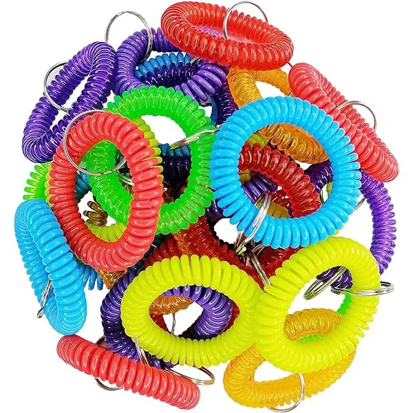 Spiral Wrist Coil Key Chain 3