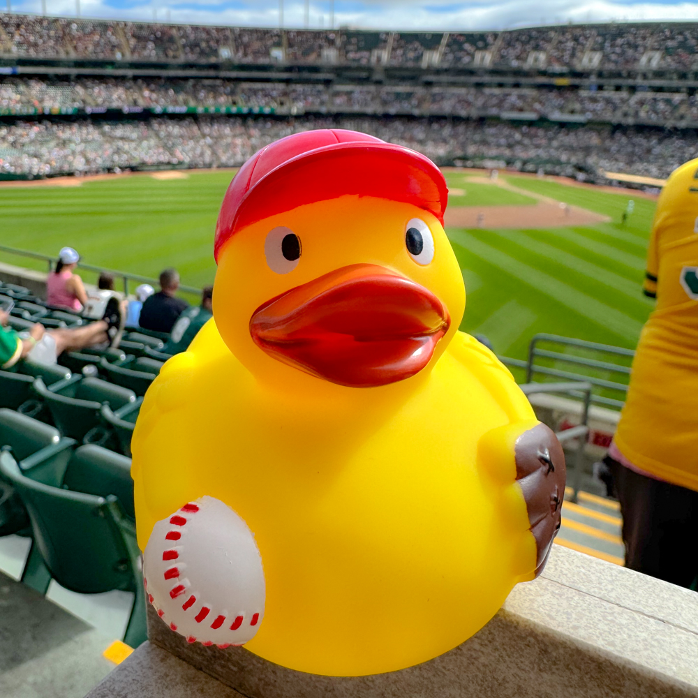 Baseball Duck 5