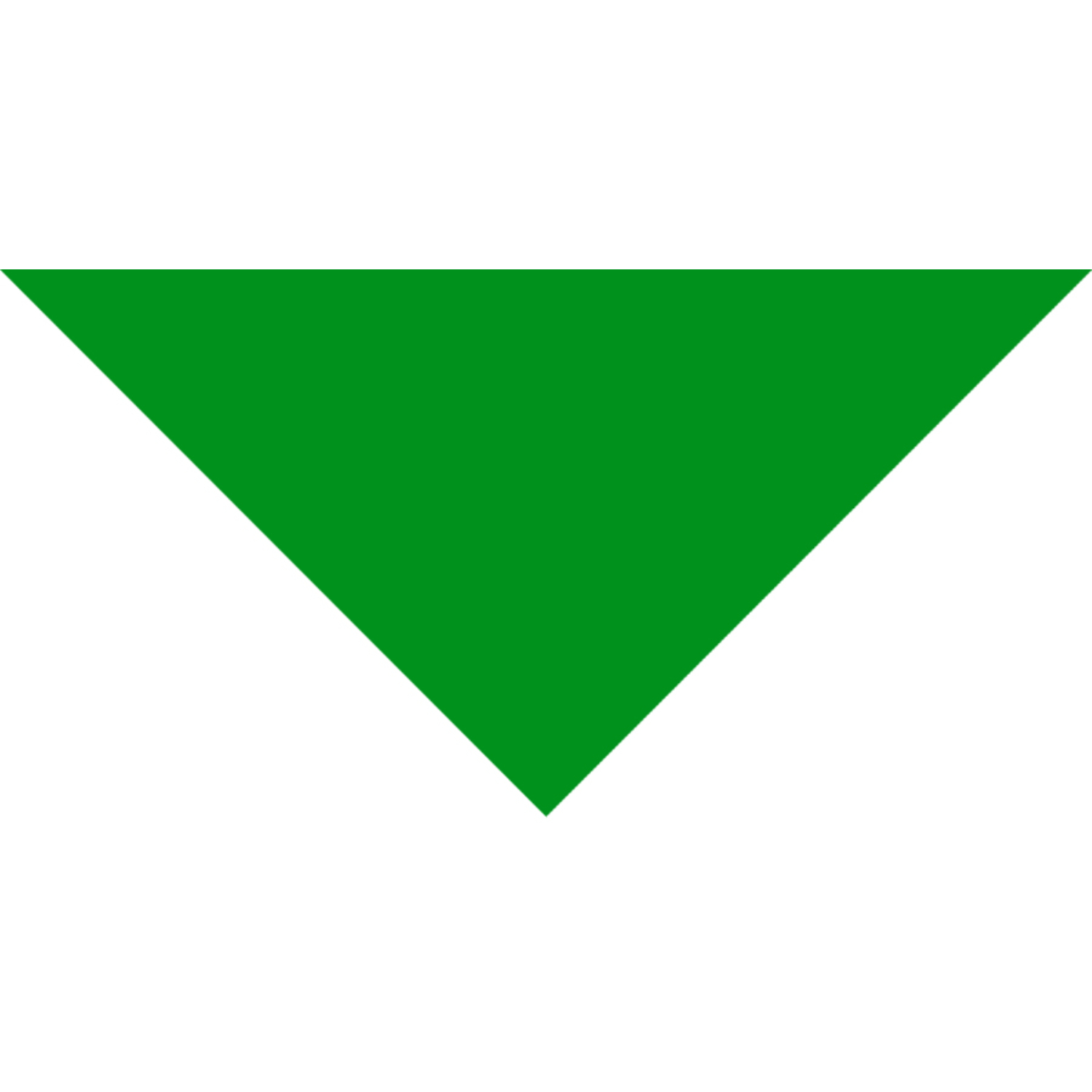 Small Triangle Pet Bandana w/ Screen Print 5