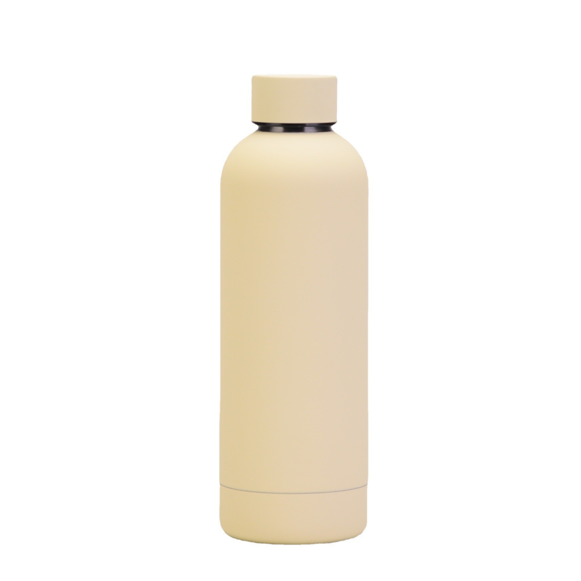 Stainless Steel Water Bottle 20