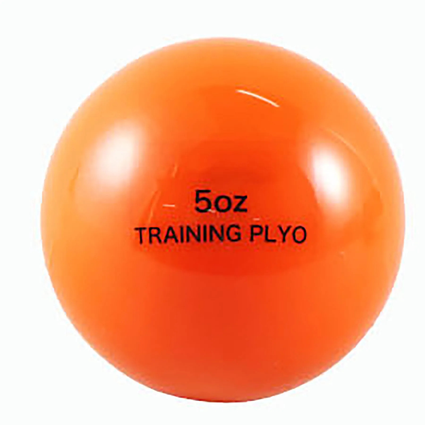 Weighted Training Balls 10