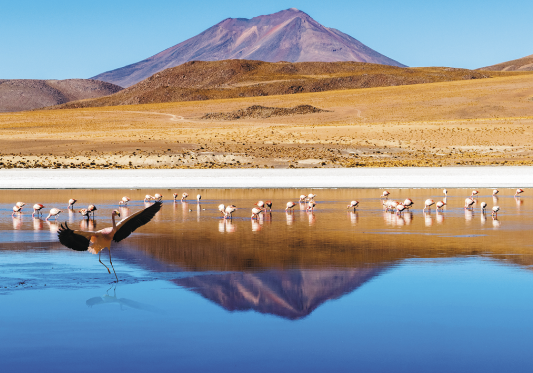 Triumph® Calendars World Scenic Calendar 23
