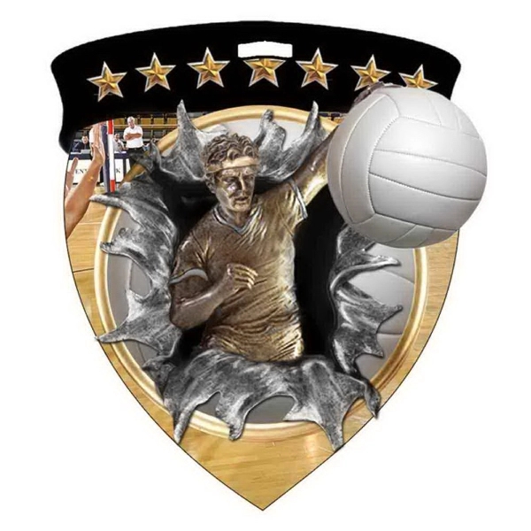 Color Burst Medals/Volleyball