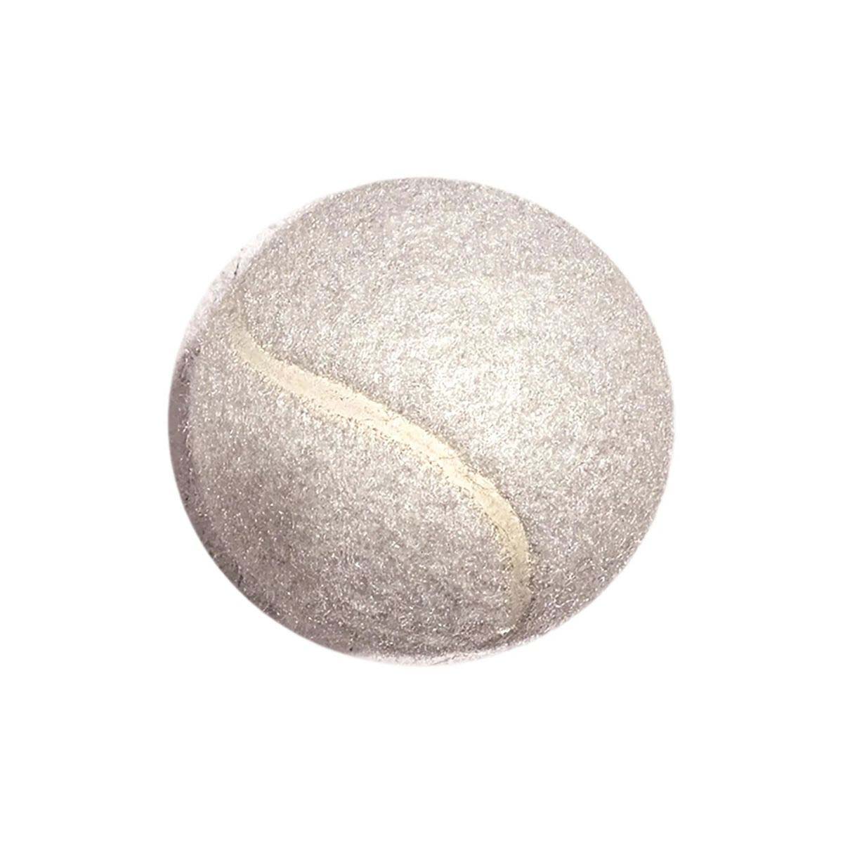 2.5 Inch Rubber Dog Ball for Training and Fetch 12