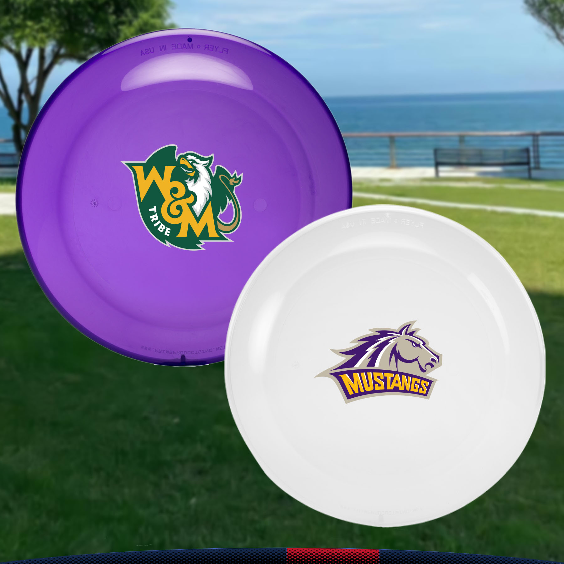 Hanny Flying Discs 9