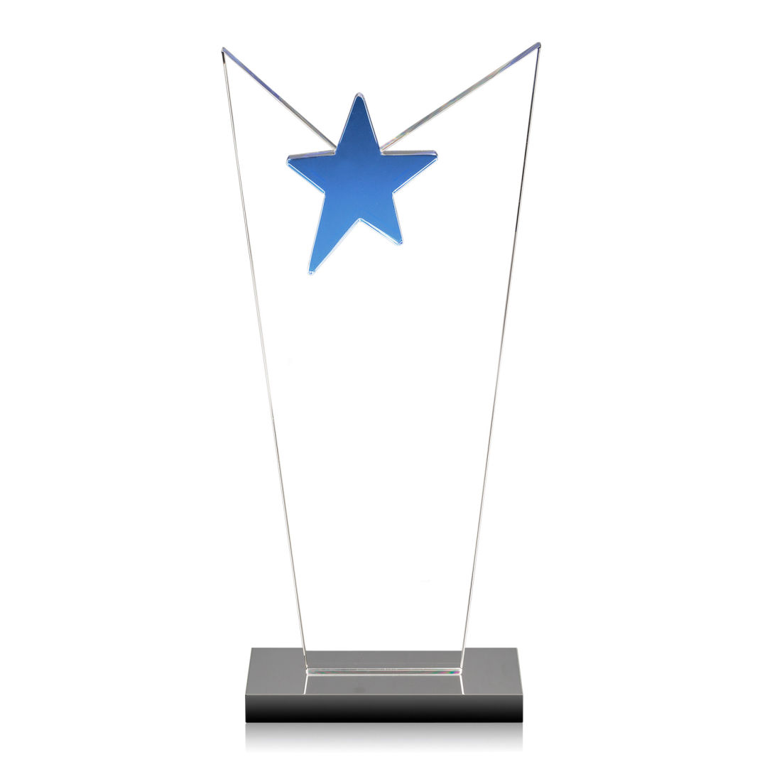 McKinley Star Award 8