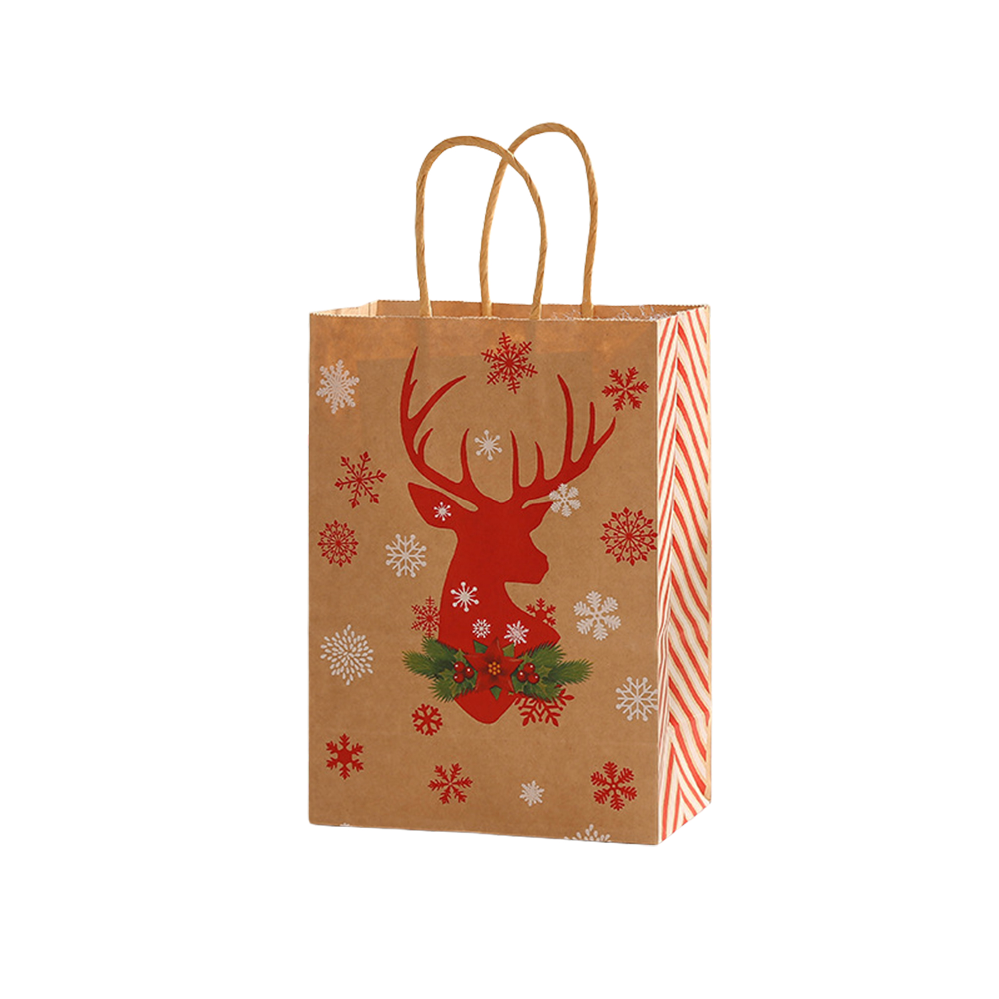 Brown Paper Gift Bag with Handle 8