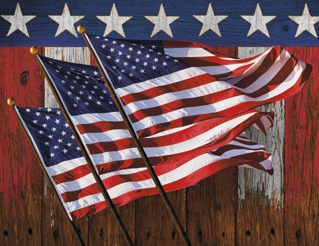 Triumph® Calendars I Love America Calendar 51