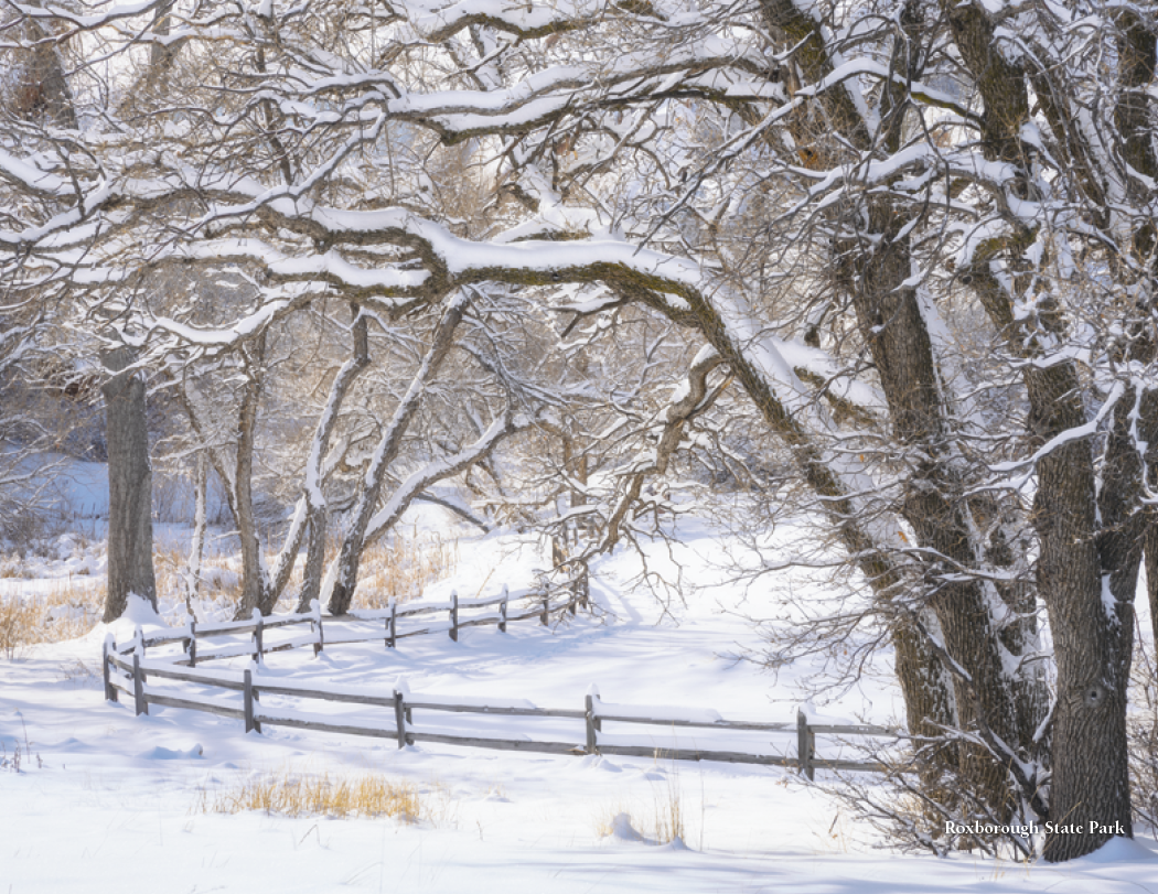 HotLine® Products Colorado Collection 50
