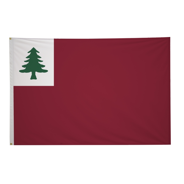 4' x 6' Historical Flags 8