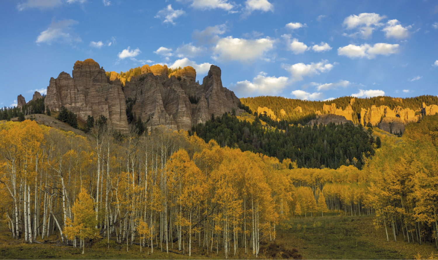 Triumph® Calendars Single Pocket Calendar 13