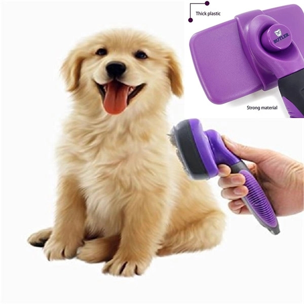 Self Cleaning Brush 5