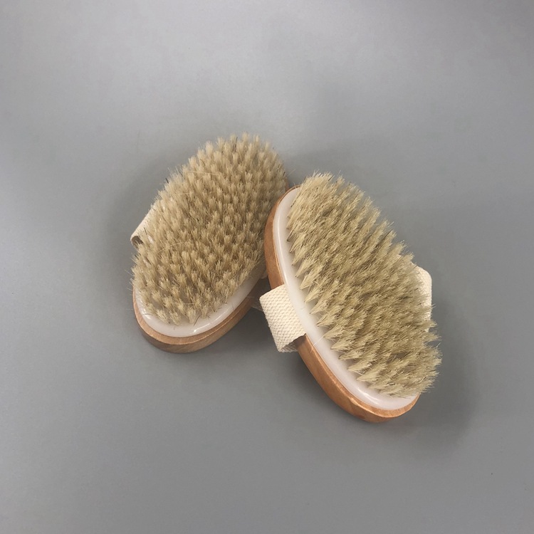 Body Brushes 2