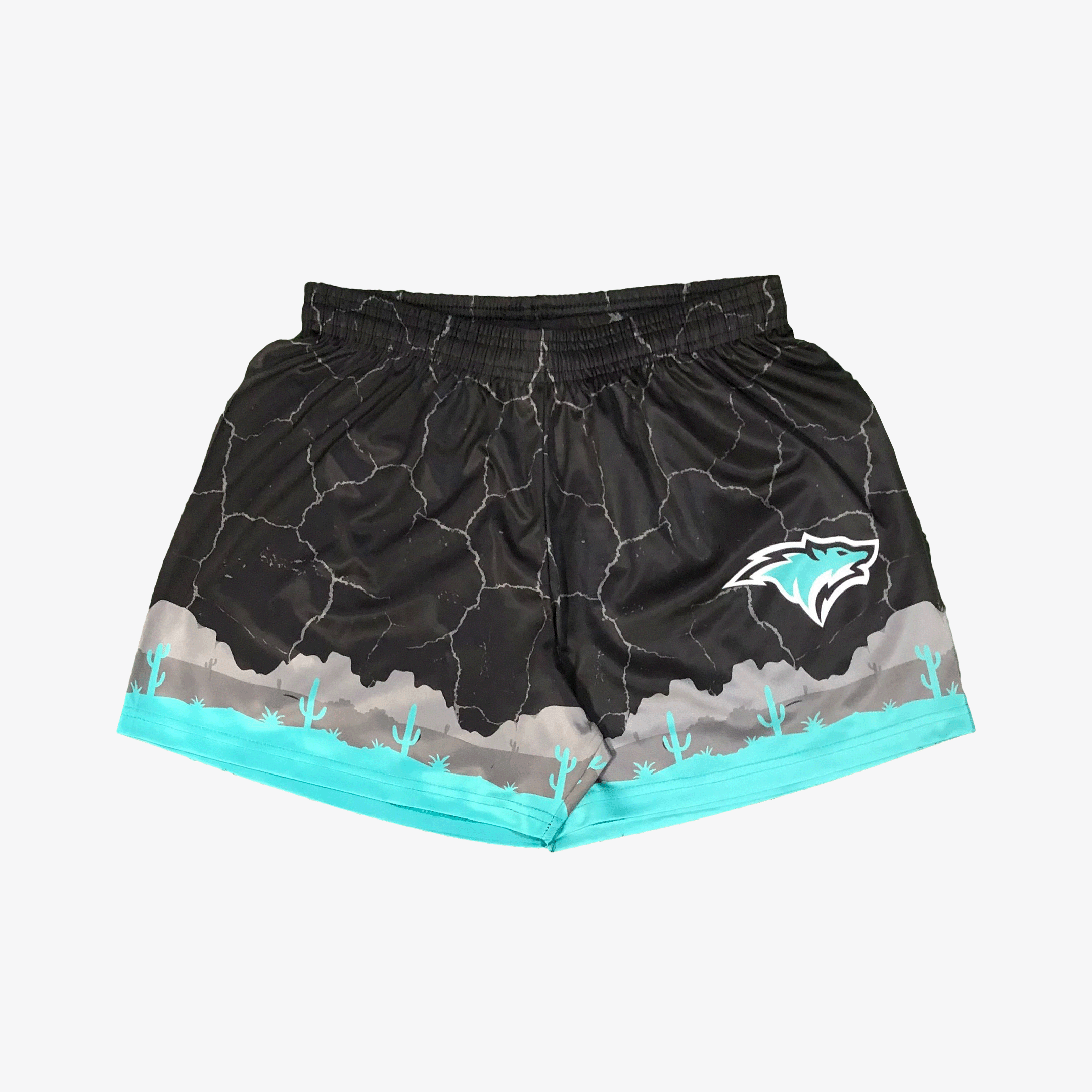 Soccer Shorts 2