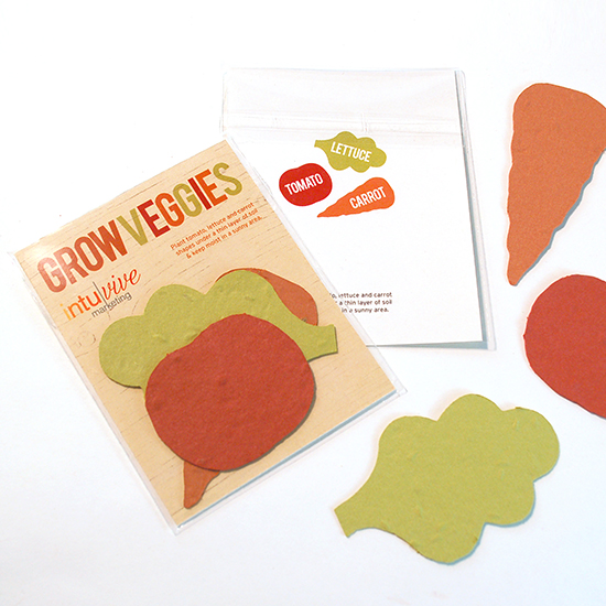 Double-Sided Veggie Shape Packs 1