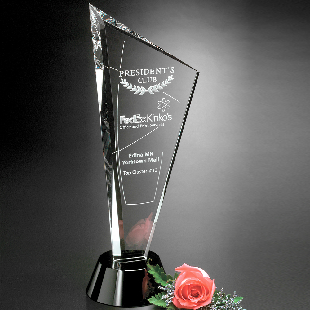 Invincible Award 10