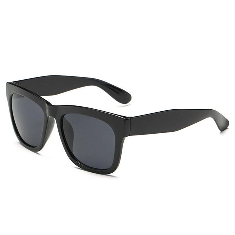Iridescent Mirrored Malibu Sunglasses 4