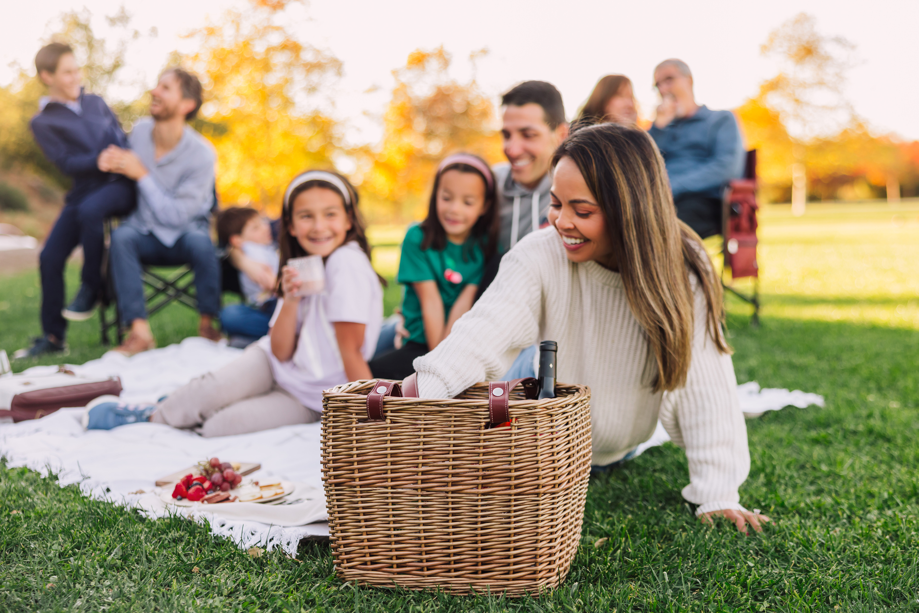 Terrabella Earth Friendly Handwoven Picnic Basket Set for 2 4