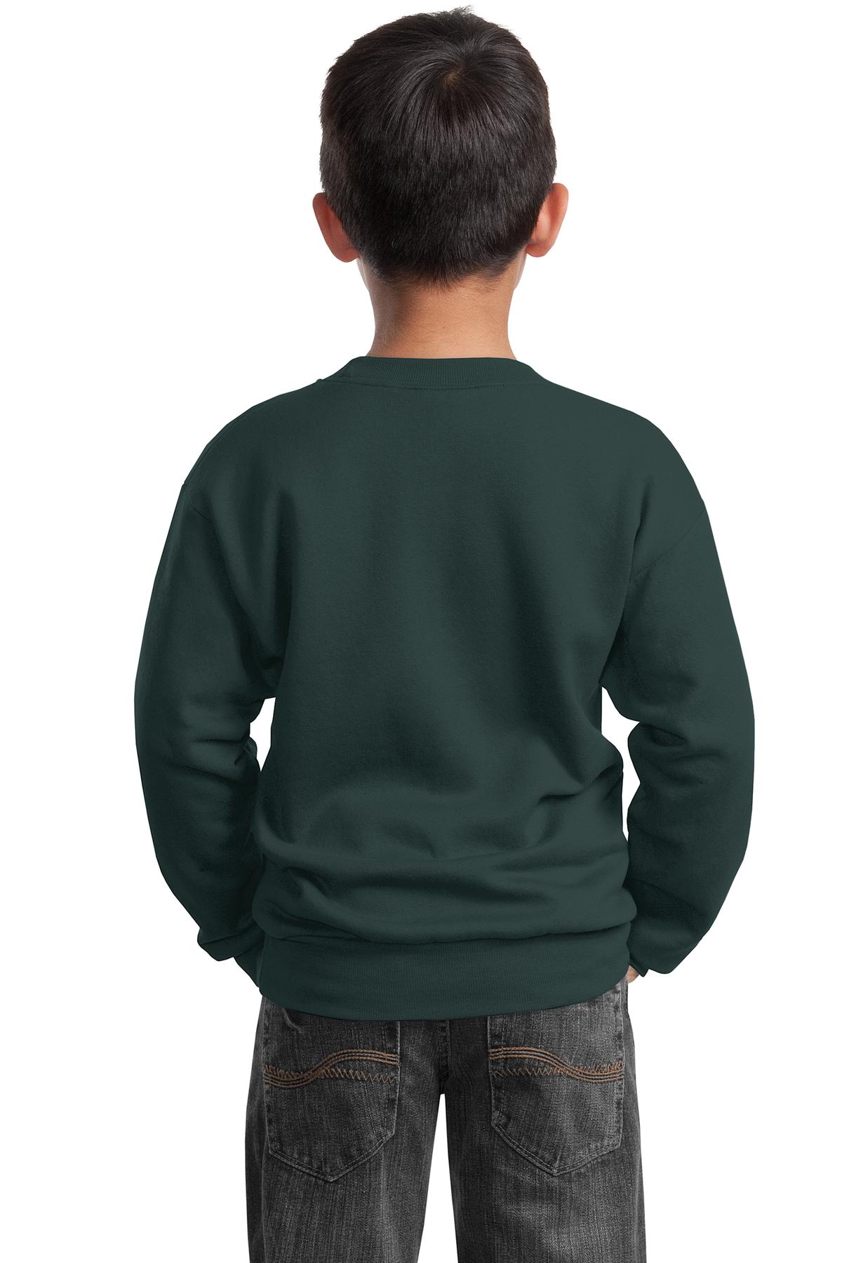 Port & Company® Youth Core Fleece Crewneck Sweatshirt 80