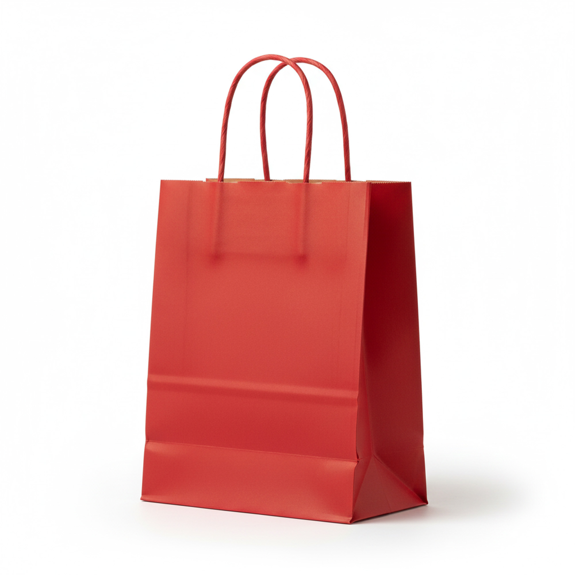 Paper Gift Bag 3