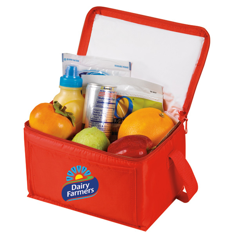 6 Pack Economy Lunch Cooler Bag 6