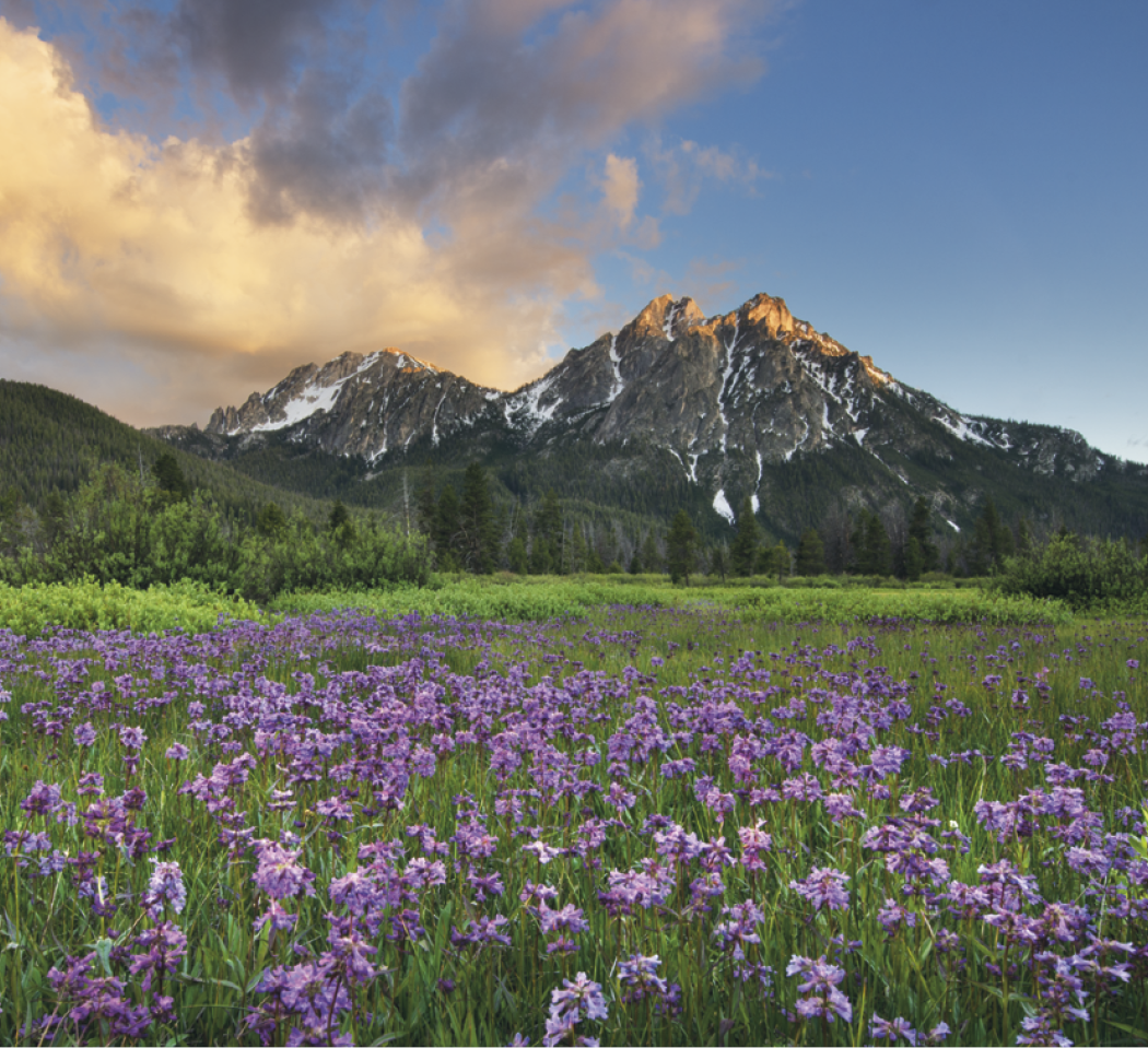 Good Value™ Landscapes of America - Mini Calendar 10