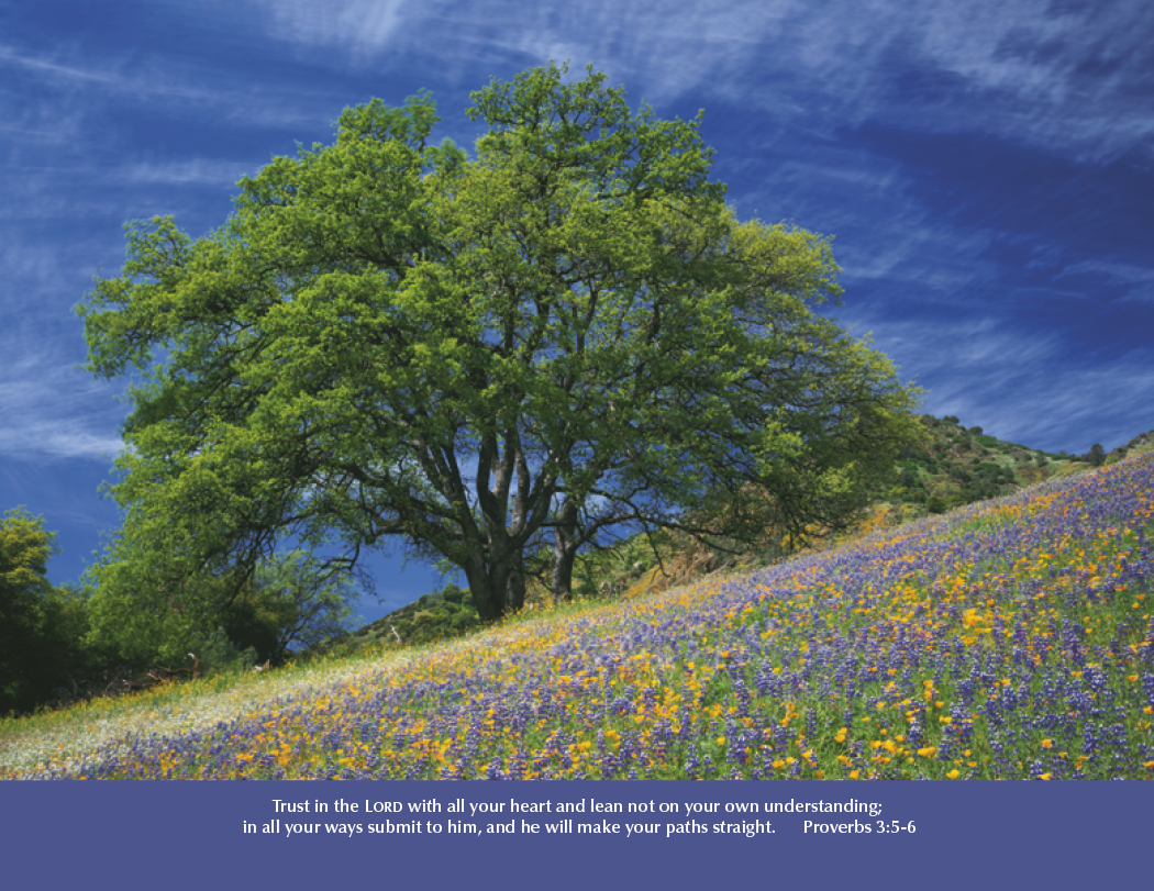 Good Value™ Eternal Word - Stapled Calendar 38