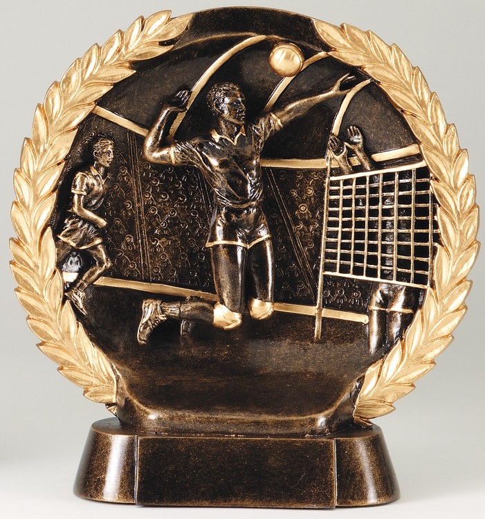 Volleyball Male High Relief Circular Plate Award 3