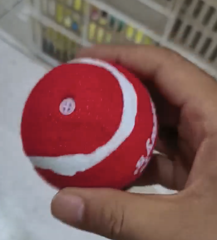 Squeaky Tennis Balls 5