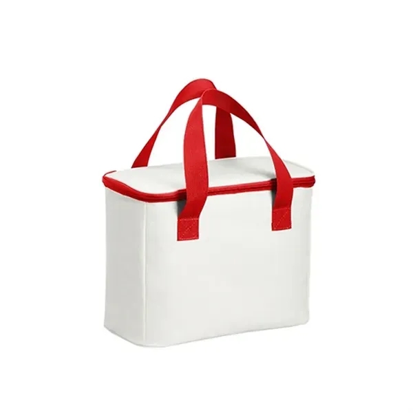 34oz Insulated Zippered Outdoor Cooler Bag 2