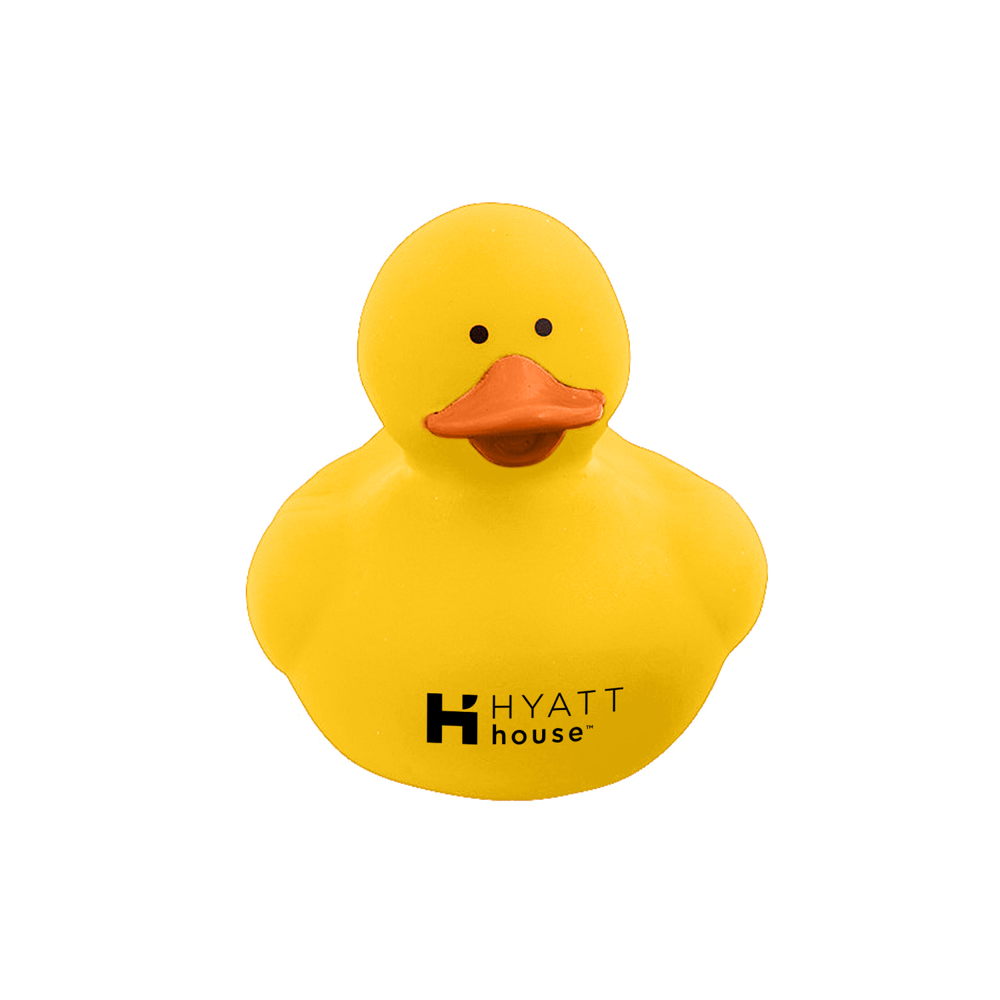 Colorful Duck 18