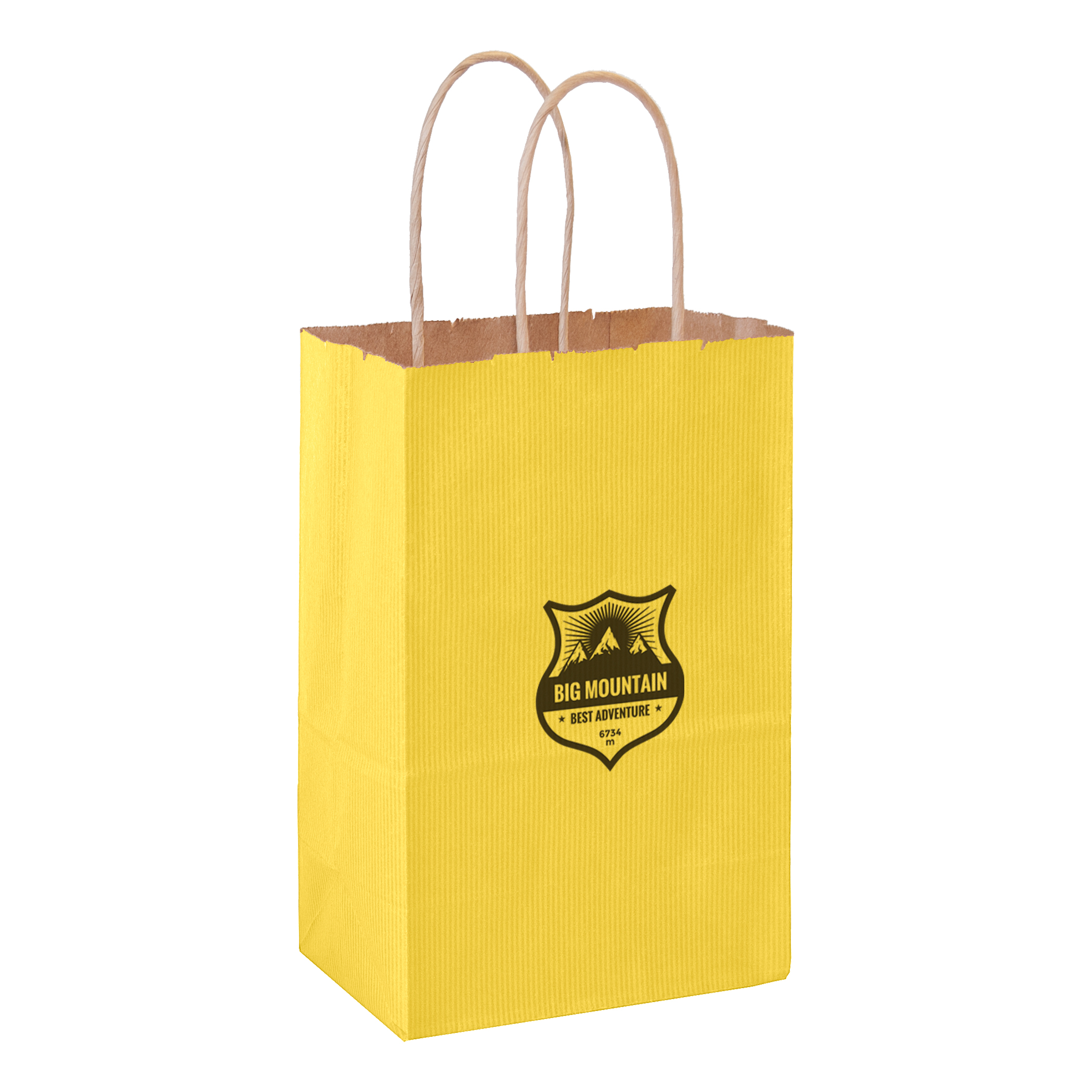 Matte Color Paper Shopper with Twisted Paper Handles 2