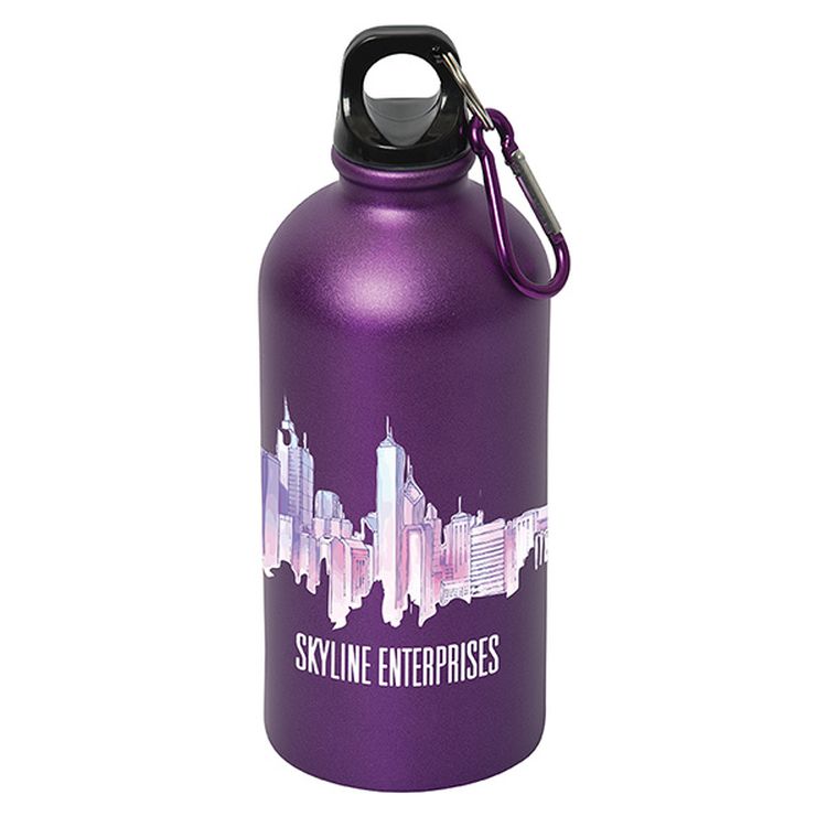 Shynebry 500 Ml. (17 Fl. Oz.) Stainless Steel Bottle 3