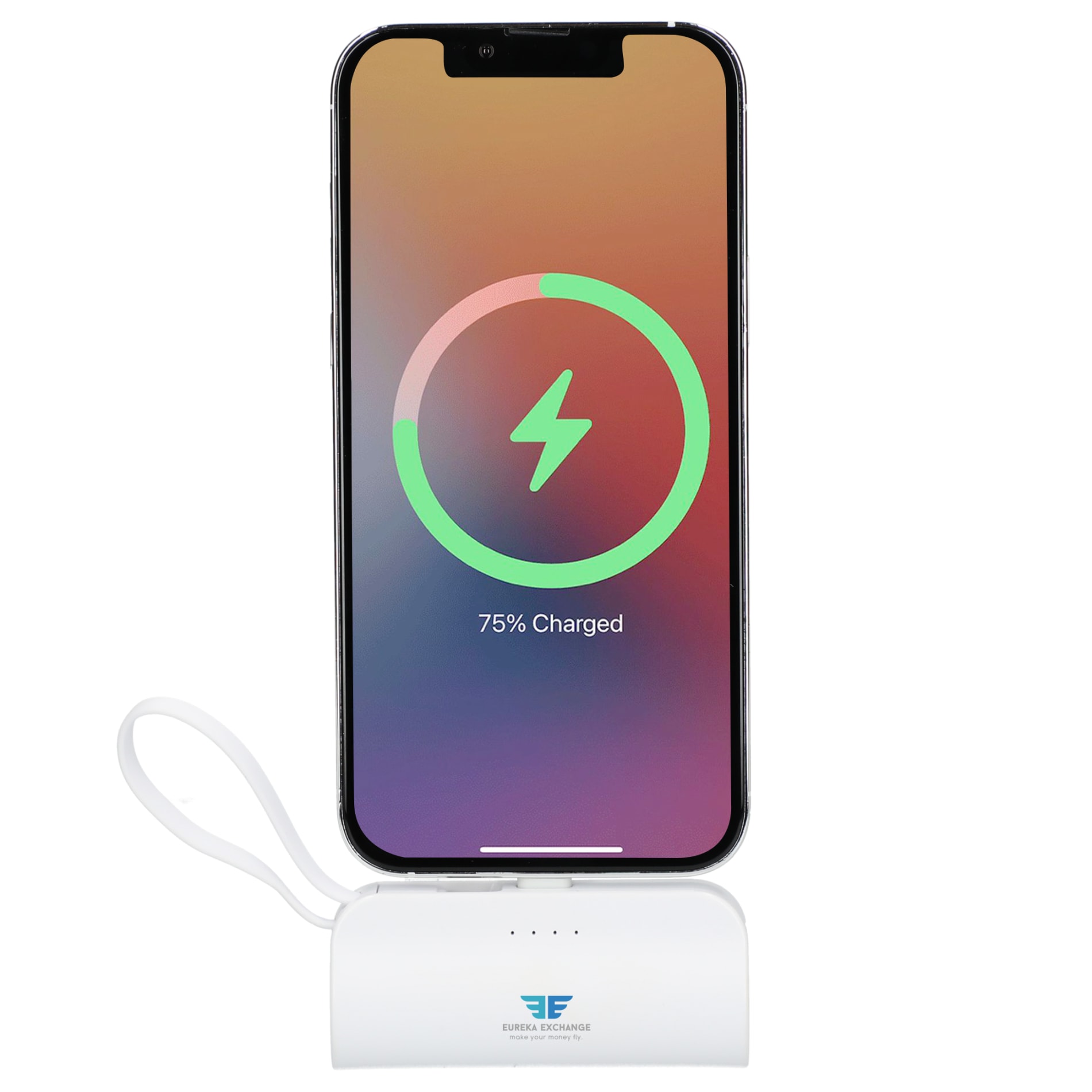 Hue 5000 mAh Power Bank with Multi Tips 66