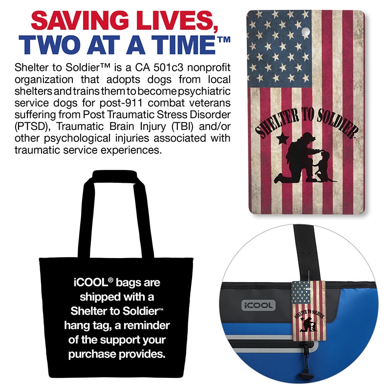 iCOOL® Vail 30-Can Cooler Tote Bag 22