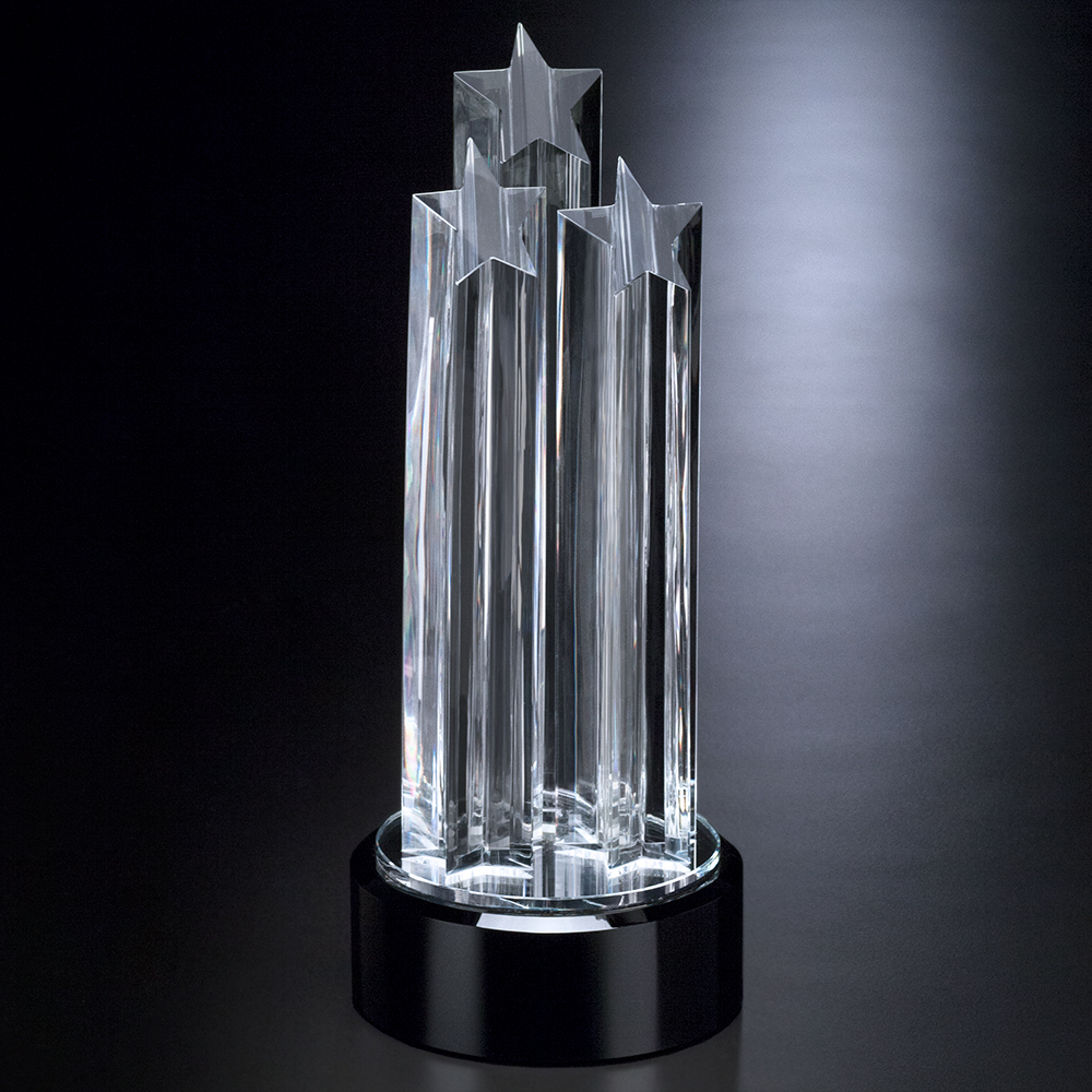 Tristar Award 7