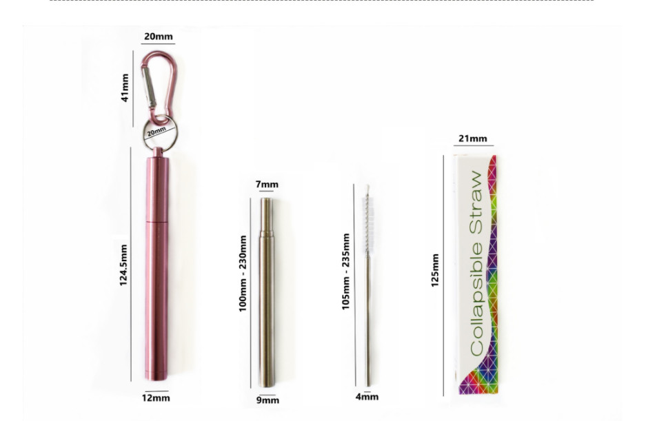 Stainless Steel Straws Set