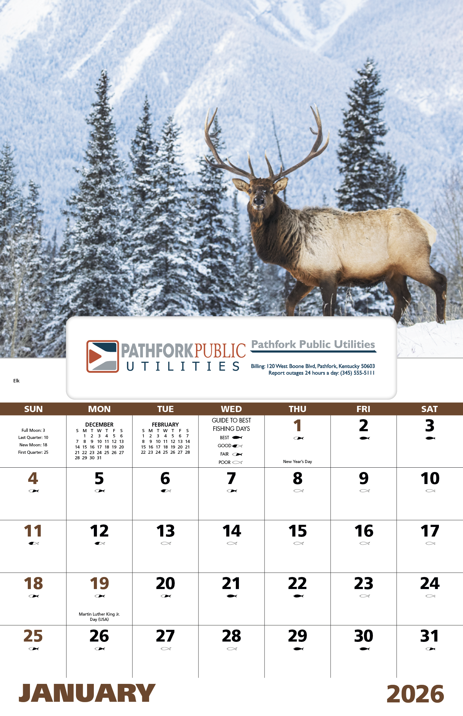 Good Value™ Wildlife Portraits - Window Calendar 34