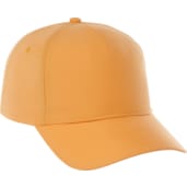 Unisex DOMINATE Ballcap 177