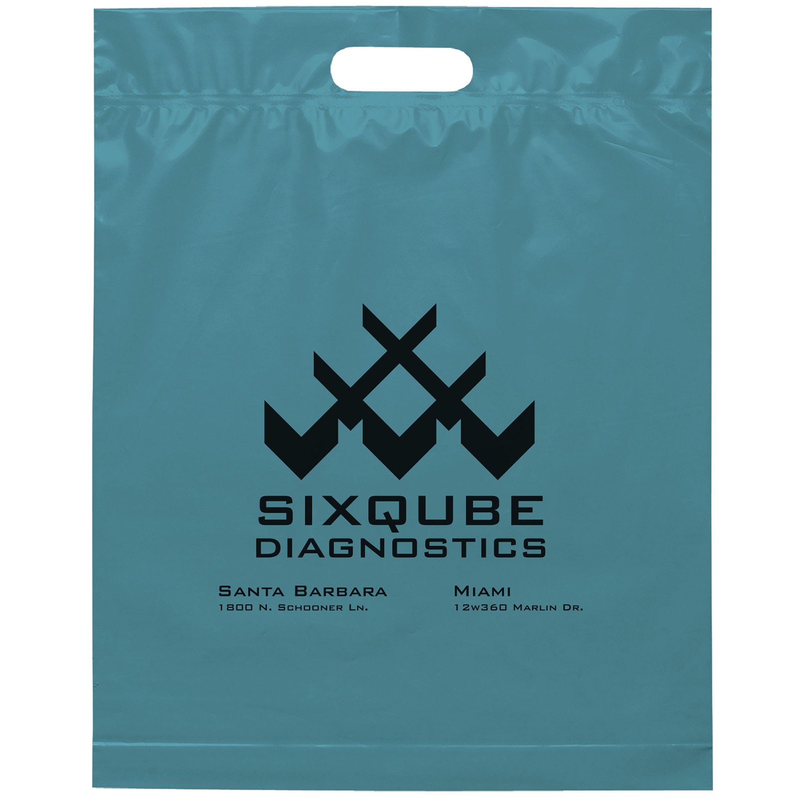 Die Cut Handle Bag - 15W x 19H x 3 - Flexo Ink Print 28