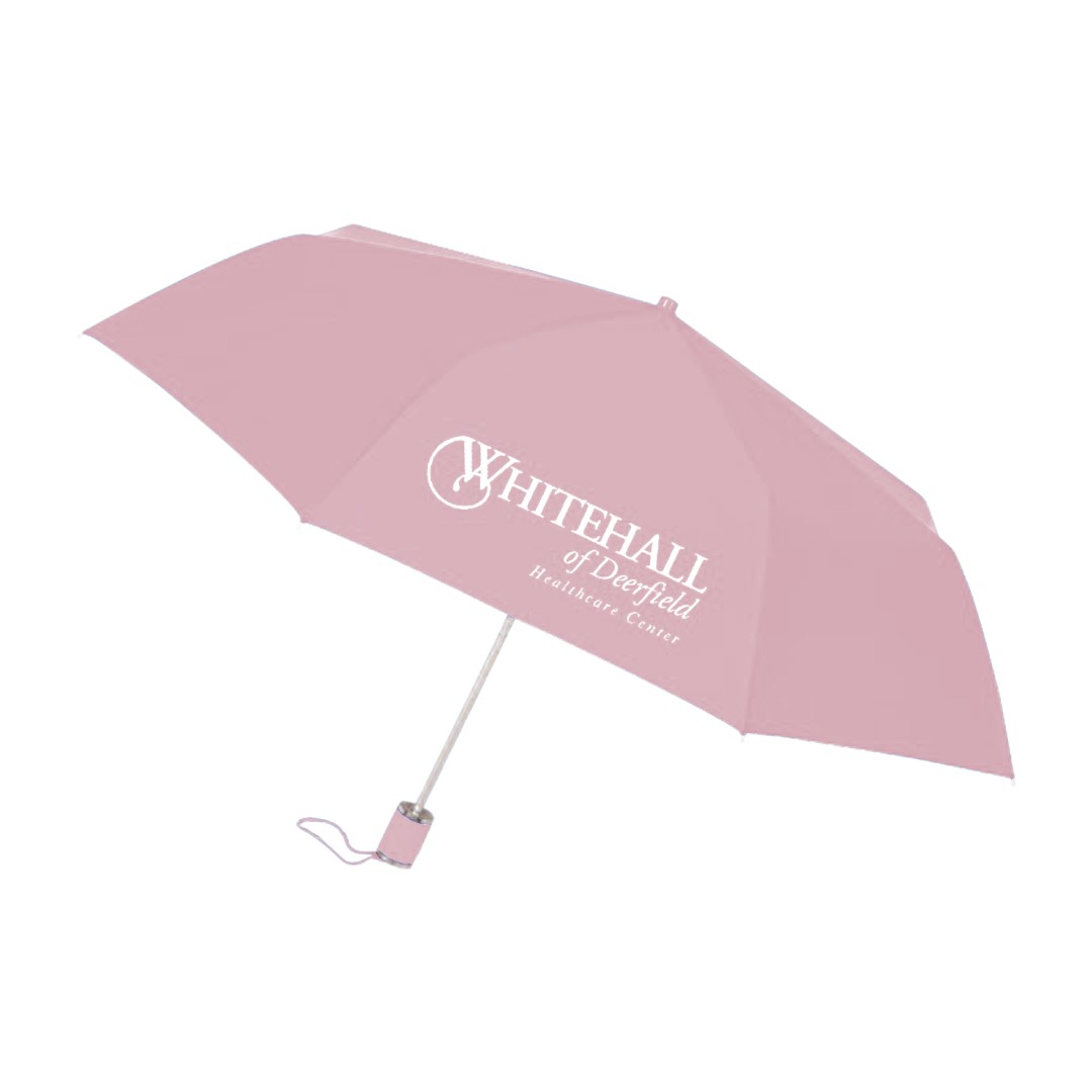 Gift Packaging Folding Umbrellas 170