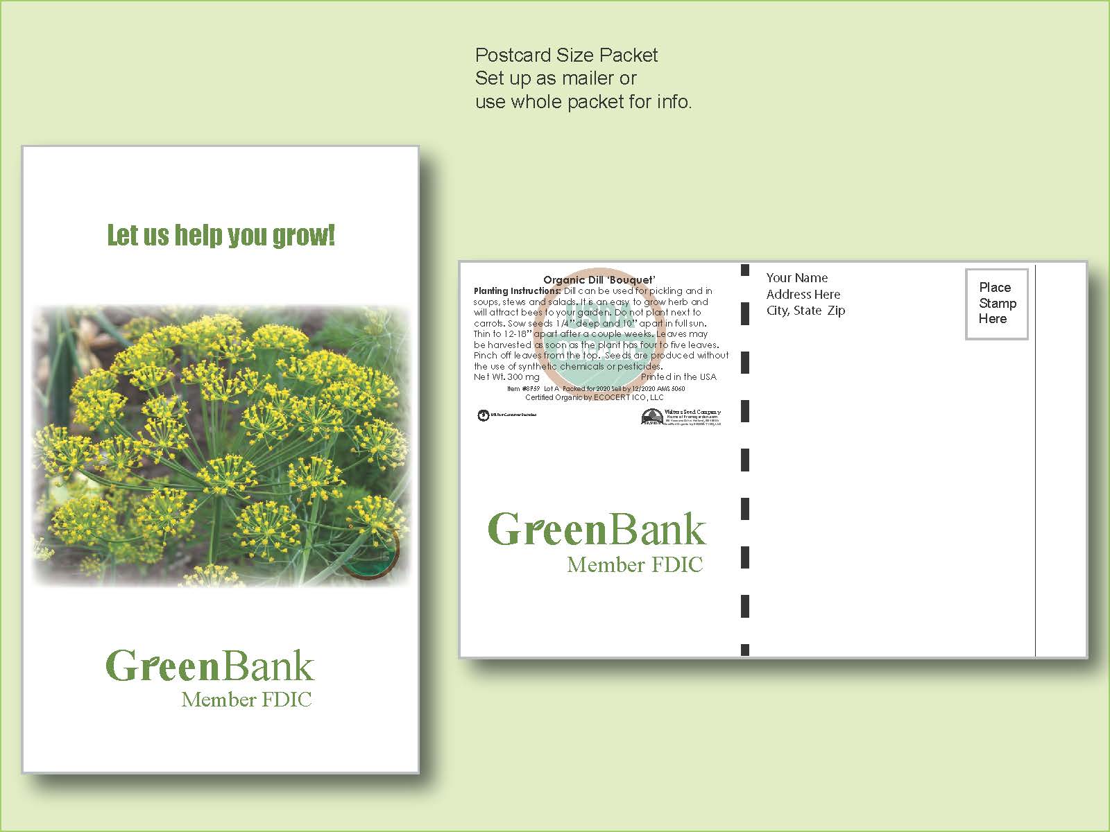 Organic Dill 'Bouquet' Herb Seed Packet - Postcard Mailer Size 4" x 6.5" 1