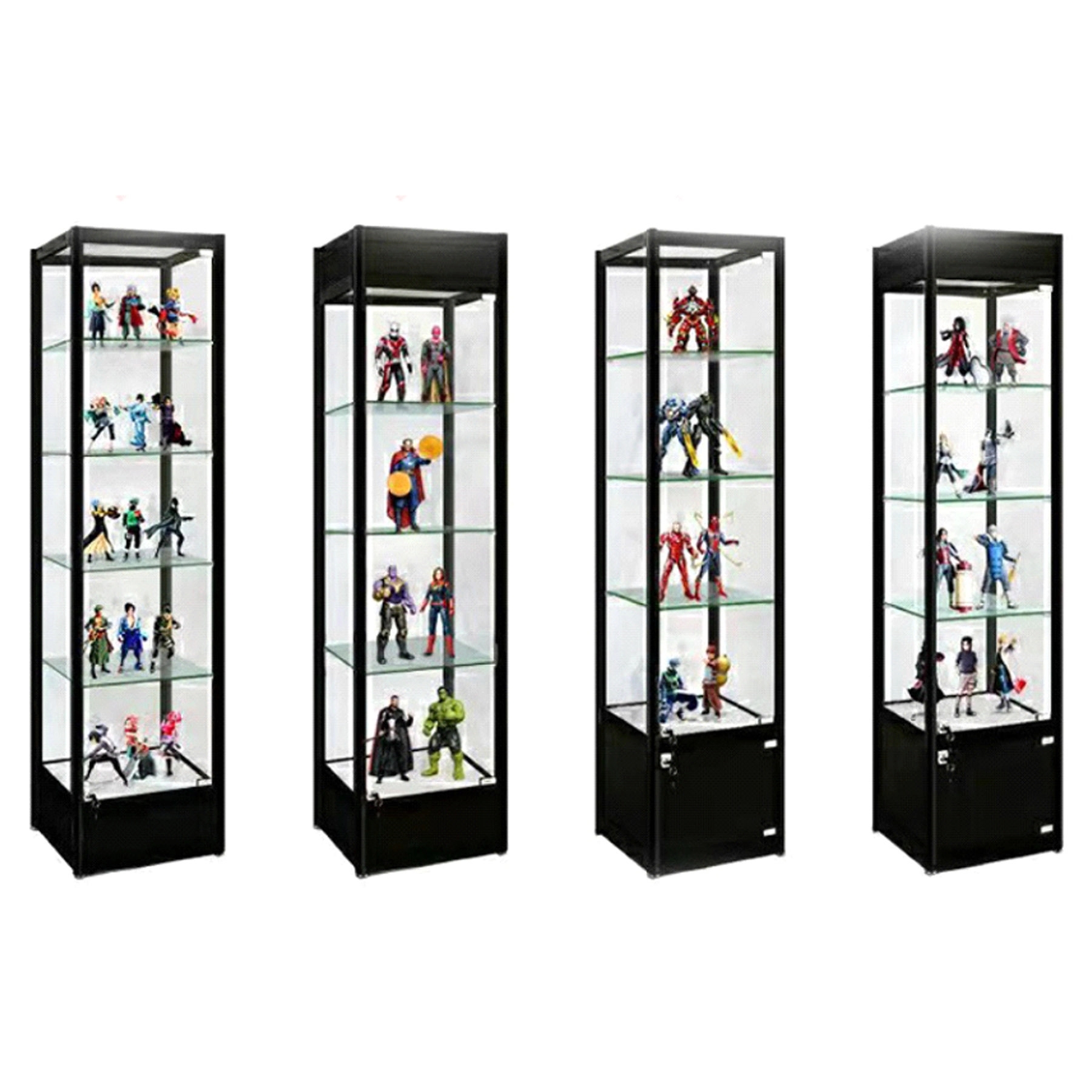 Display Case 6