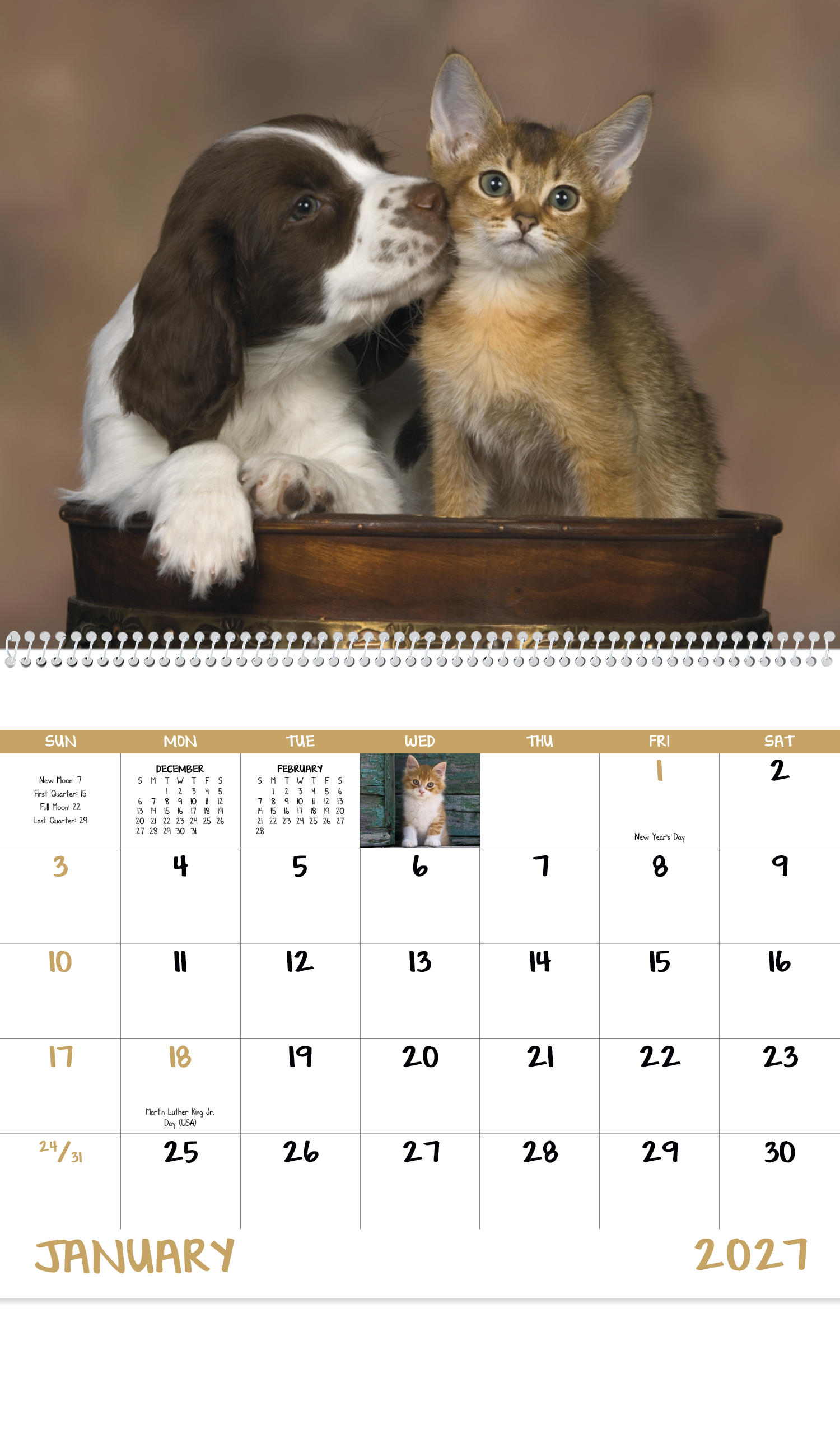 Good Value™ Puppies & Kittens - Spiral Calendar 13
