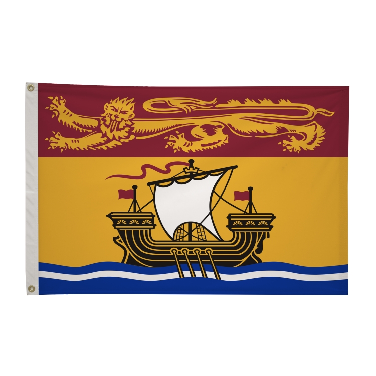 2' x 3'International Flag 41