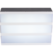 Cinema Light Box - Small 31