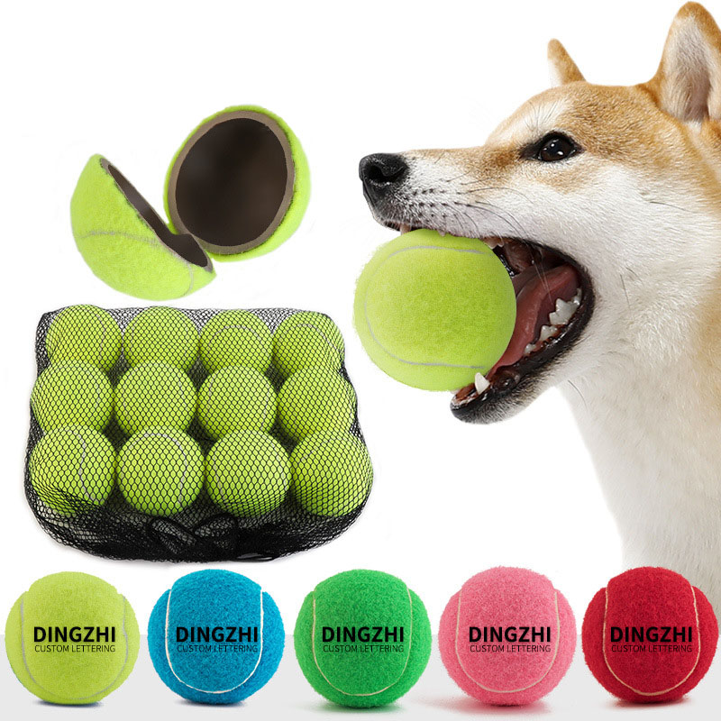 Dog Ball Training Tennis Ball 1