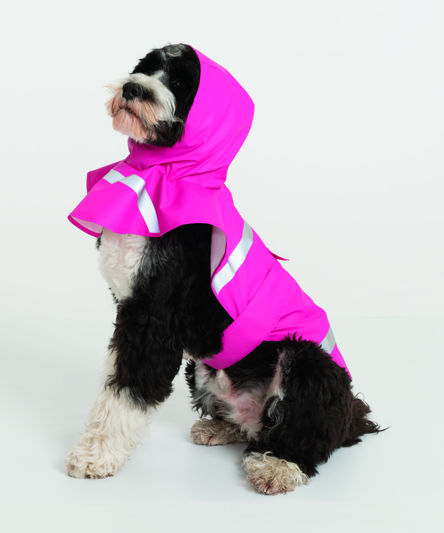 New Englander® Doggie Rain Jacket 20