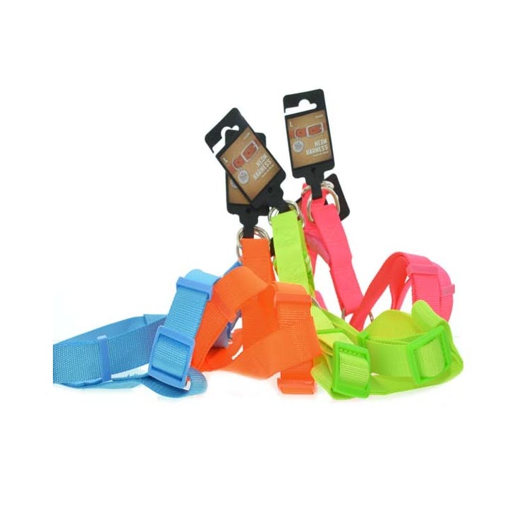 Neon Pet Harnesses - Assorted Large 2