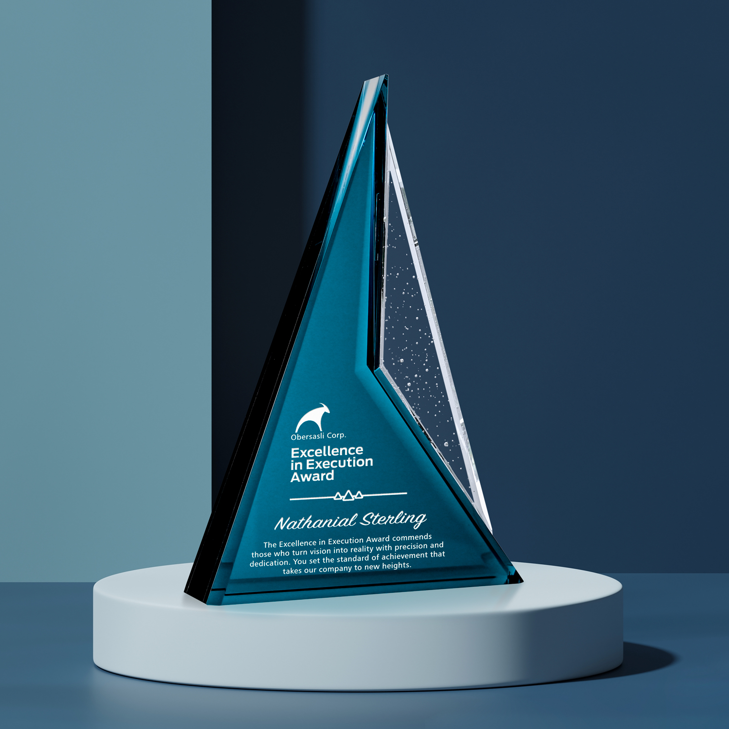 Endurance Award 2